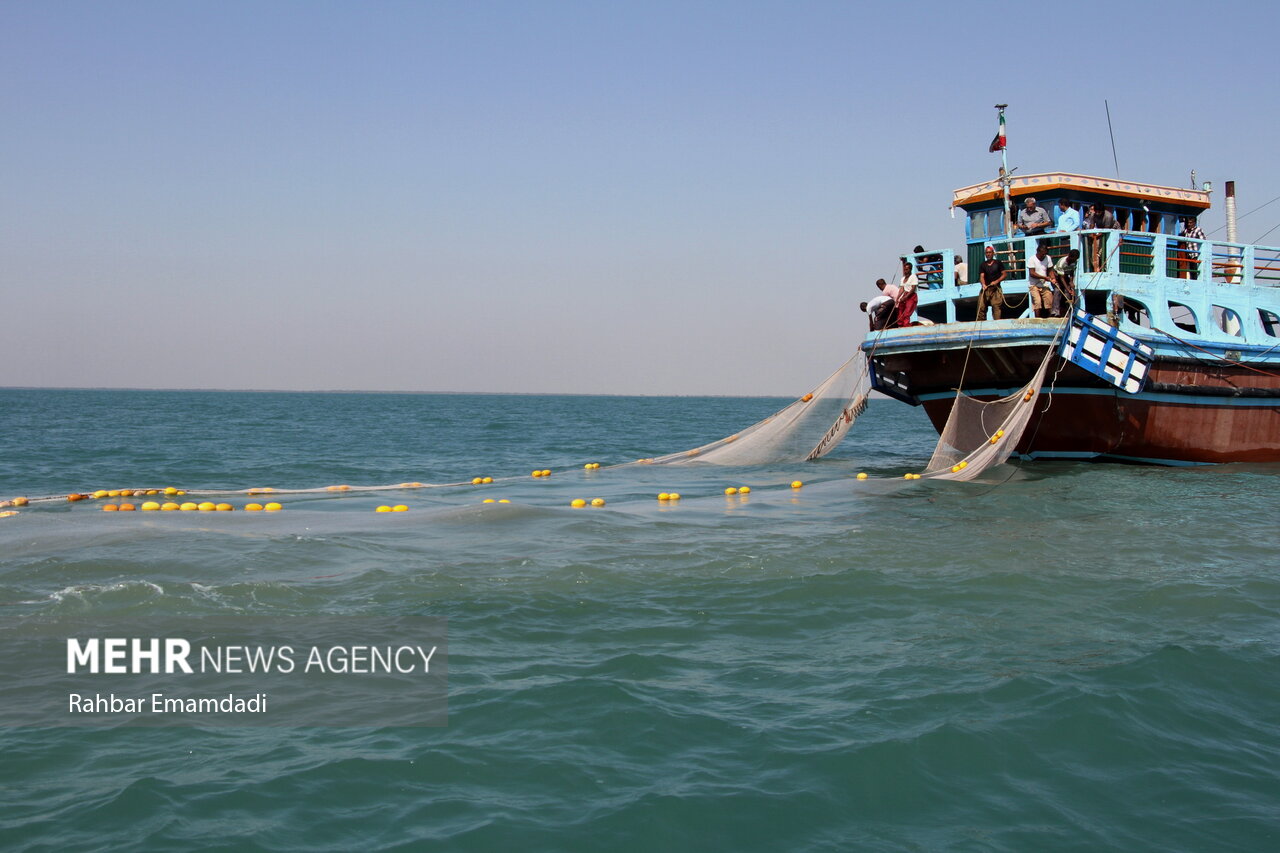 هشدار به شناگران و صیادان در خلیج فارس