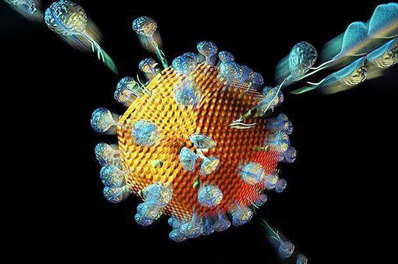 سوپرایمنی با مبتلا شدن به سویه‌های ضعیف کرونا