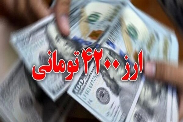 نماینده مجلس: ارز ترجیحی کالاهای اساسی تا پایان سال در صحن تعیین تکلیف می شود