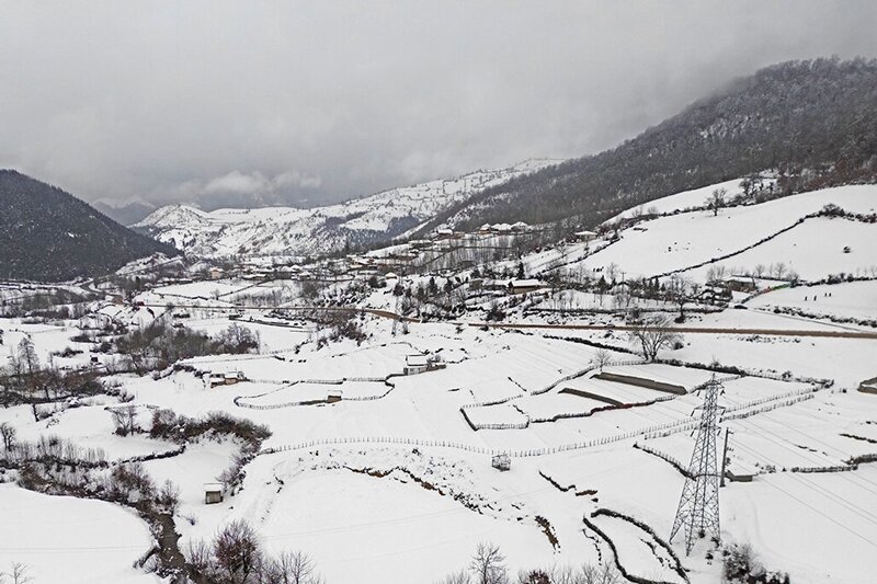 تصاویر |  بارش زیبای برف در ارتفاعات ساری