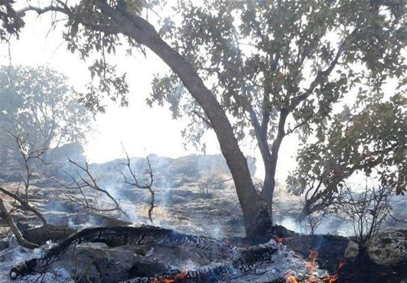 شناسایی عاملان آتش‌سوزی جنگل‌های کوهدشت؛ ۵ نفر دستگیر شدند