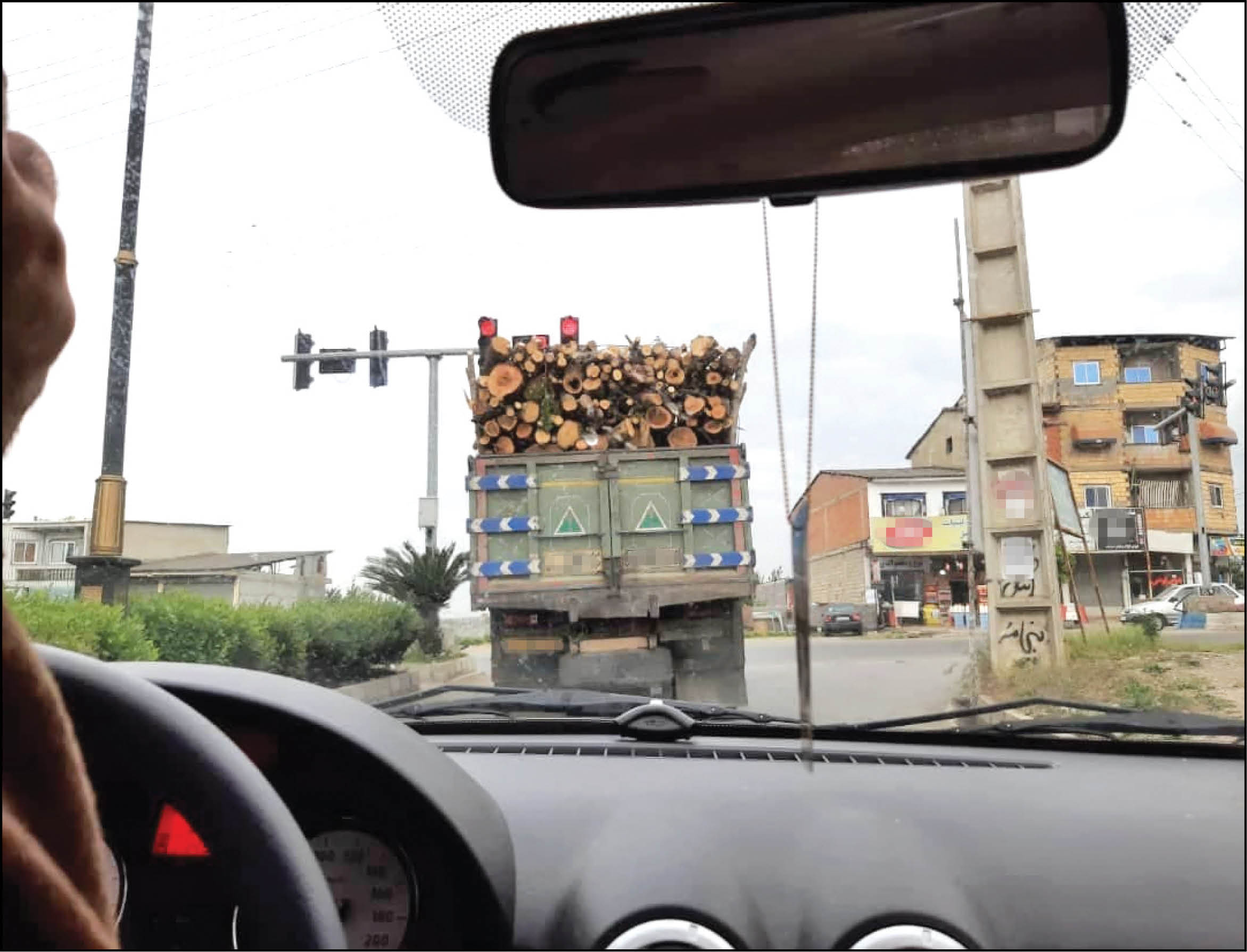 100میلیارد تومان گردش مالی قاچاق چوب در ایران
