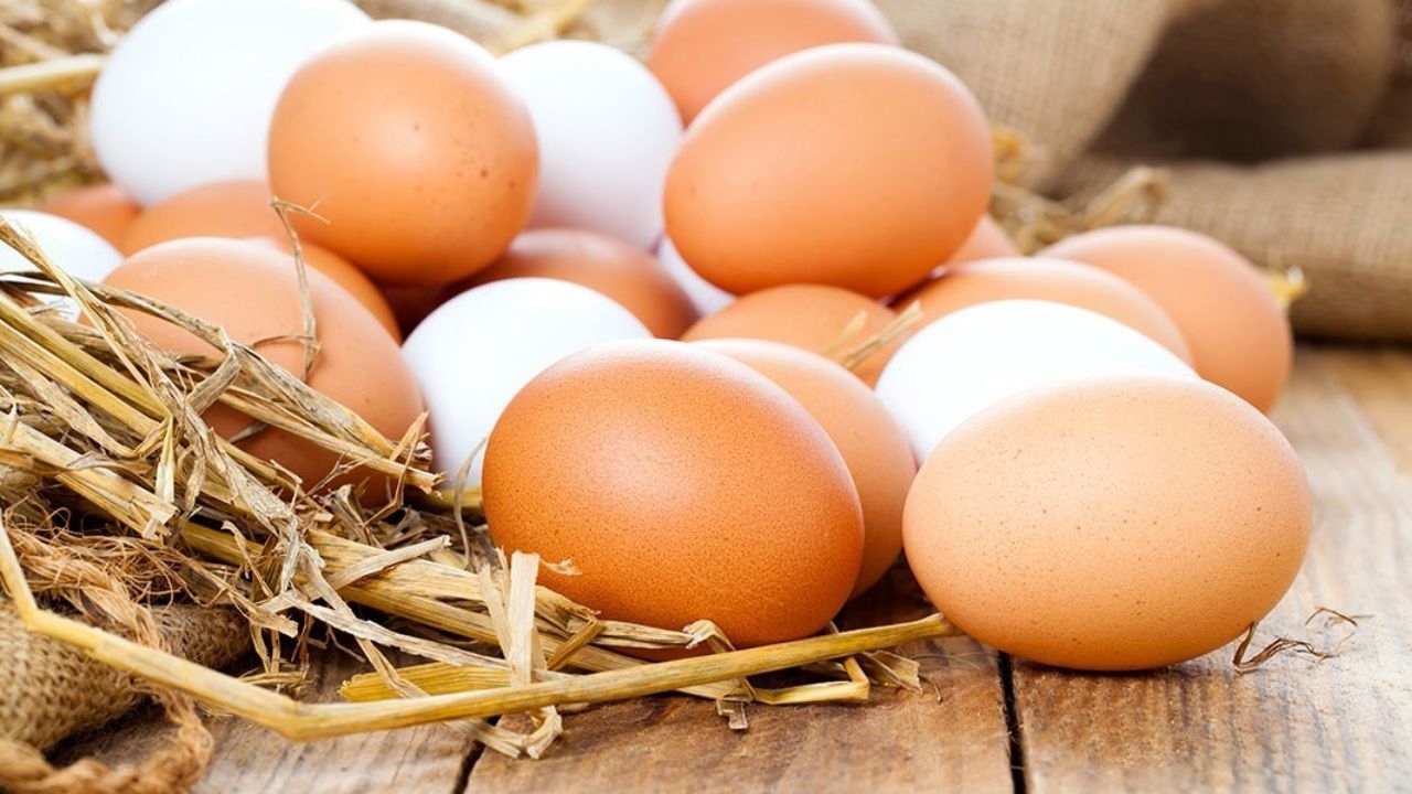 تخم مرغ کیلویی چند؟