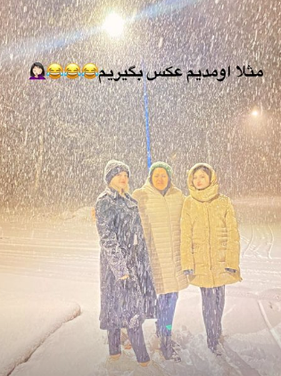 Screenshot_2020-12-26 Sara Forghani سارا فرقانی ( saraforghaniofficial) • Instagram photos and videos